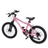 S20101 Kids Bicycle 20 Inch Kids Montain Bike Gear Shimano 7 Speed Bike for Boys and Girls