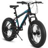 S20109 20 Inch Fat Tire Bike Adult/Youth Full Shimano 7 Speed Mountain Bike, Dual Disc Brake, High-Carbon Steel Frame, Front Suspension, Mountain Trai