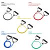 1pc 5 Levels Resistance Bands (suitable Beginner) With Handles Yoga Pull Rope Elastic Fitness Exercise Tube Band For Home Workouts Strength Training