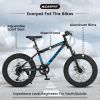 S20109 20 Inch Fat Tire Bike Adult/Youth Full Shimano 7 Speed Mountain Bike, Dual Disc Brake, High-Carbon Steel Frame, Front Suspension, Mountain Trai